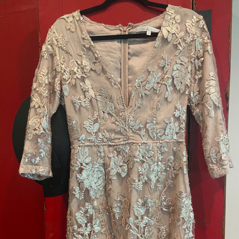 Sequin dress worn one